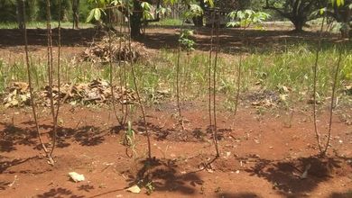 Kavling Prestisius Dijual di Bekasi, Bekasi, Harga 4,28 Miliar