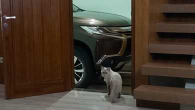 Rumah Sewaan Murah di Gading Serpong, Tangerang, 3 KT, Harga 75 Juta /tahun