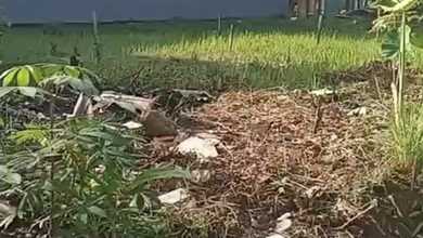 For Sale Tanah Premium di Kelapa Dua, Tangerang, LT 500m²