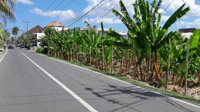 Kesempatan Tanah Murah di Pererenan, Badung, Luas 1450m²