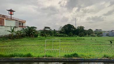 Tanah Kosong untuk Disewa di Nyanyi, Harga 25 Juta