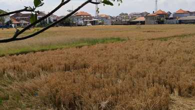 For Sale Tanah Eksklusif di Pedungan, Denpasar, LT 50000m²