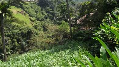 Tanah Harga Hemat di Ubud, Gianyar, Harga 3,5 Juta