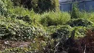 Tanah Siap Bangun Kawasan Cluster Denpasar Utara Denpasar