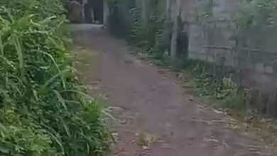 Jual Cepat Tanah Terjangkau di Nusa Dua, Badung, LT 200m²