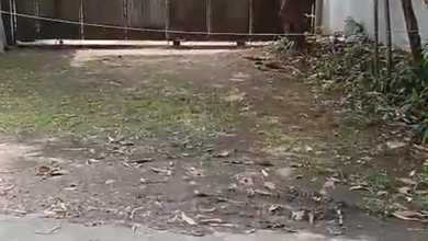 Jual Cepat Tanah Terjangkau di Sanur Kauh, Denpasar, LT 800m²