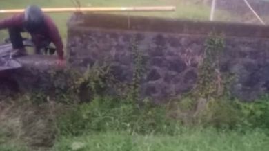 Sewa Tanah Per Tahun dengan Harga Terjangkau di Denpasar Selatan