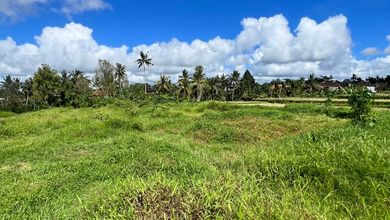 Kesempatan Tanah Murah di Ubud, Gianyar, Luas 4910m²