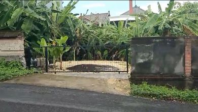 Kavling Cluster x  Kawasan Denpasar Utara