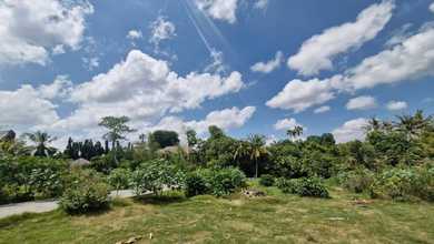 Promo Tanah Harga Ekonomis di Canggu, Badung