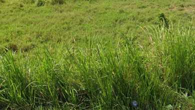 Tanah Luas 840 m2 Lokasi Strategis Denpasar Selatan, Dijual Murah