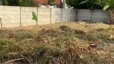 Jual Murah Tanah 438 m2 Area Strategis