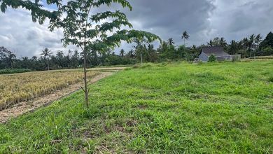 Segera Miliki Tanah Harga Ekonomis di Ubud, Gianyar