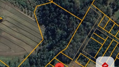 Jual Cepat Tanah Terjangkau di Tabanan, Tabanan, LT 250m²