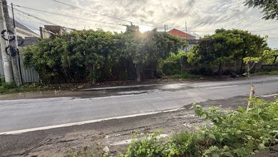 Tanah Harga Hemat di Renon, Denpasar, Harga 36 Juta