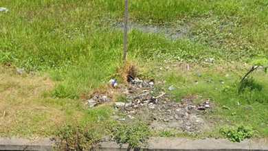 Disewakan Tanah Kosong Lokasi Ramai Kawasan Denpasar