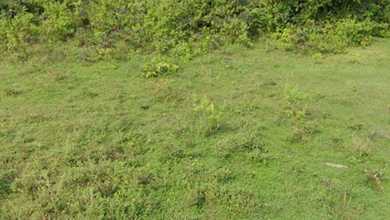 Tanah Siap Bangun di Komplek Jimbaran Badung