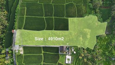 Investasi Tanah Murah di Ubud, Gianyar, Luas 4910m²