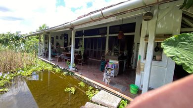 Tanah Luas 10 m2 Lokasi Strategis Dalung, Dijual Terjangkau