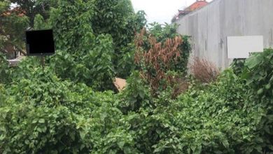 Tanah LT 400 m2 Area Strategis Denpasar Barat, Dijual Terjangkau