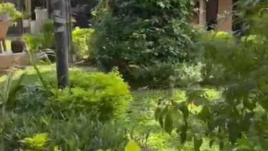 Dijual Tanah Terjangkau di Denpasar Selatan, Denpasar, LT 400m²