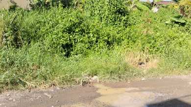 Dijual Tanah Murah di Munggu, Badung, LT 200m²