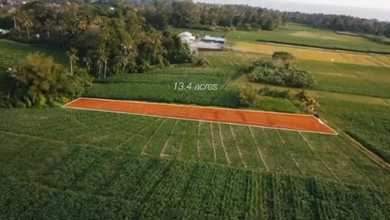 Jual Tanah Minimalis di Area Tabanan, Tabanan