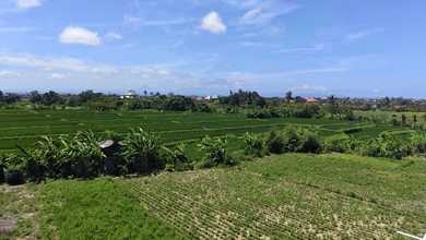 Segera Miliki Tanah Harga Ekonomis di Ketewel, Gianyar