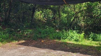 Tanah Dekat Pasar Lokasi Jimbaran, Cocok untuk Buka Usaha