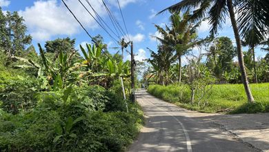 Tanah Elit Dijual di Ubud, Gianyar, Harga 246 Miliar