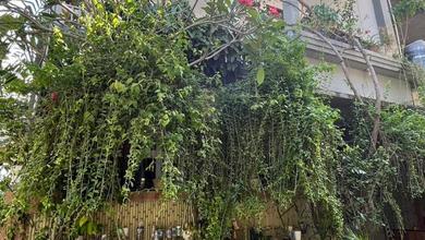 Jual Rumah Bagus Luas 125 m2 di Renon, Denpasar