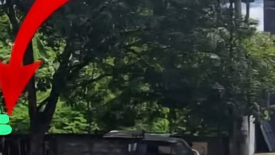 Tanah Harga Hemat di Gatot Subroto, Denpasar, Harga 140 Juta