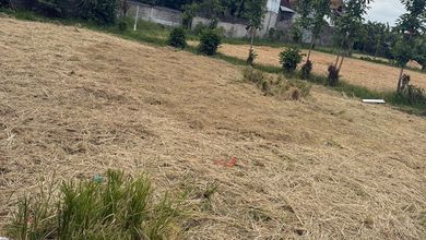 Tanah Kosong untuk Disewa di Renon, Harga 8,1 Juta