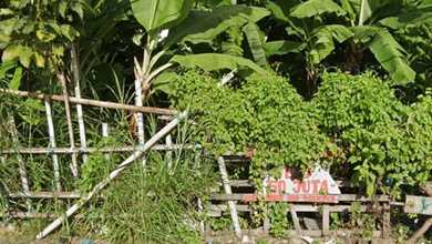 Kavling Cluster x  Area Denpasar Utara