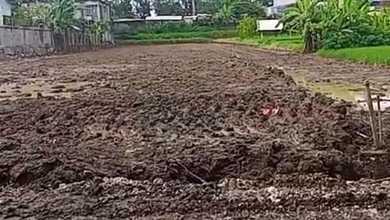 Kavling Komplek x  Kawasan Ketewel