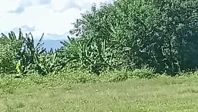 Dijual Tanah Premium di Legok, Tangerang, LT 7524m²