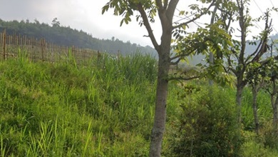 Kavling Prestisius Dijual di Batu, Malang, Harga 7280 Triliun