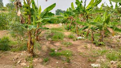 Dijual 16000m2 Tanah Di Cisauk, Tangerang