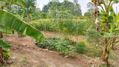 Dijual Tanah seluas 16000m2  di Cisauk, Tangerang