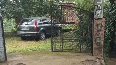 Tanah Nyaman untuk Hunian di Cianjur, Cianjur, Luas 11841m²