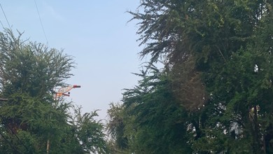 For Sale Tanah Premium di Kedoya, Jakarta Barat, LT 1200m²