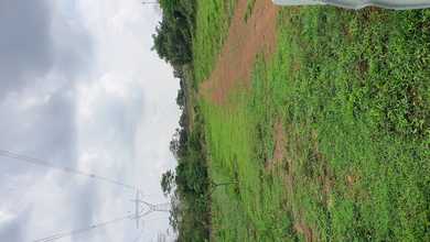 Tanah Harga Hemat di Citeureup, Bogor, Harga 68,4 Juta