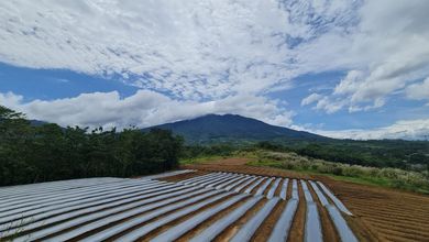 Kavling Prestisius Dijual di Cicurug, Sukabumi, Harga 20,2 Miliar