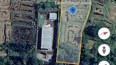 Investasi Tanah Murah di Ubud, Gianyar, Luas 2600m²