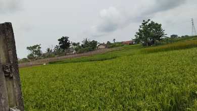 Dijual Tanah Eksklusif di Cikande, Serang, LT 150000m²