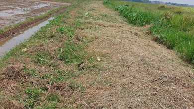 For Sale Tanah Eksklusif di Karawang Timur, Karawang, LT 107000m²