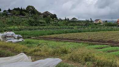 Kavling Prestisius Dijual di Cipanas, Cianjur, Harga 42,9 Miliar