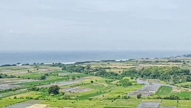 Kavling Prestisius Dijual di Kelating, Tabanan, Harga 5,8 Miliar