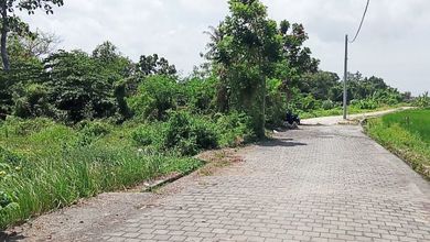 Tanah Harga Hemat di Nyitdah, Tabanan, Harga 25,7 Juta