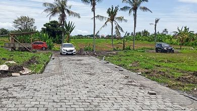 Investasi Tanah Murah di Belalang, Tabanan, Luas 125m²